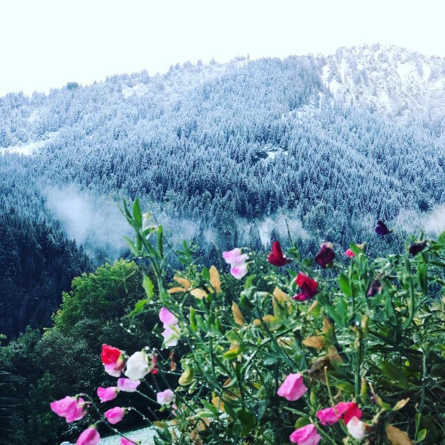 'Petite Ferme Les Bouts' Apartment, Sleeps 6, Nr Morzine La Cote d'Arbroz 외부 사진