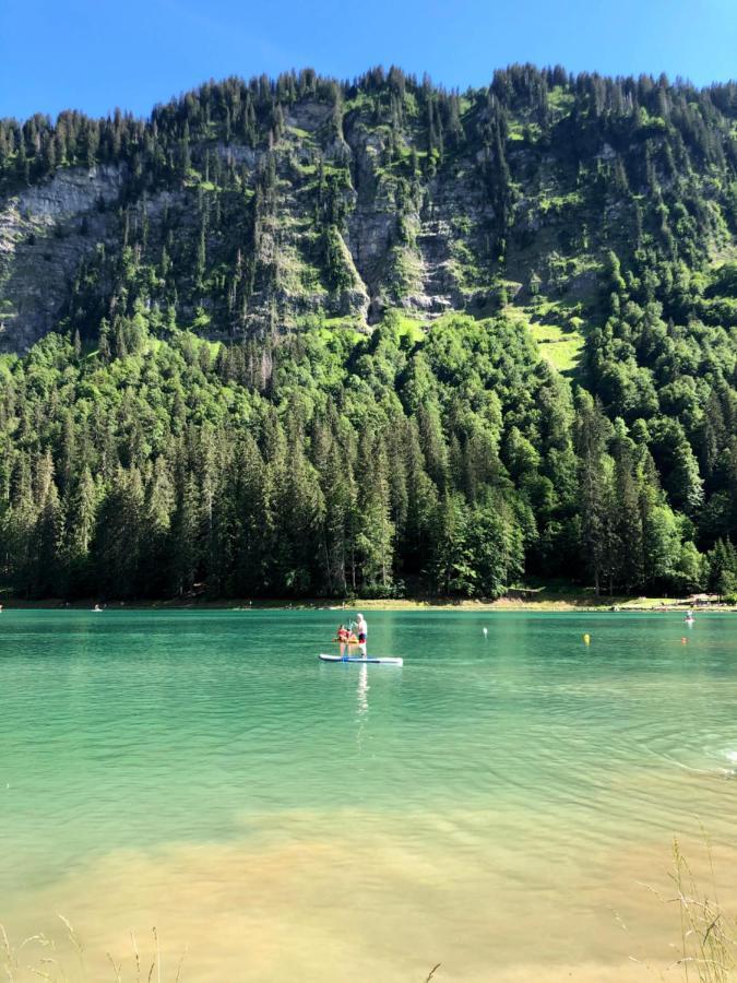 'Petite Ferme Les Bouts' Apartment, Sleeps 6, Nr Morzine La Cote d'Arbroz 외부 사진